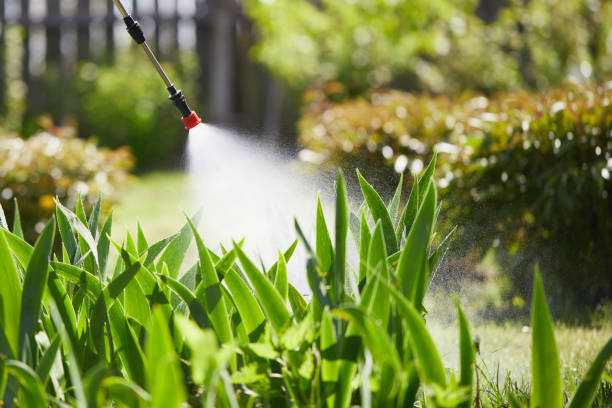 24/7 Emergency Mosquito Control experts in Columbus, NC